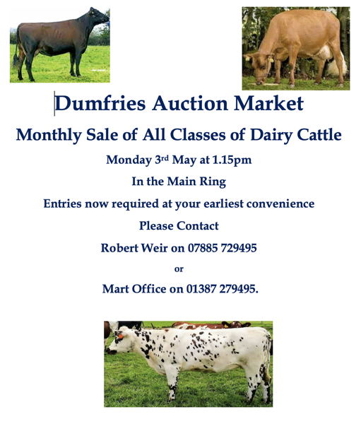 Dumfries Dairy sale