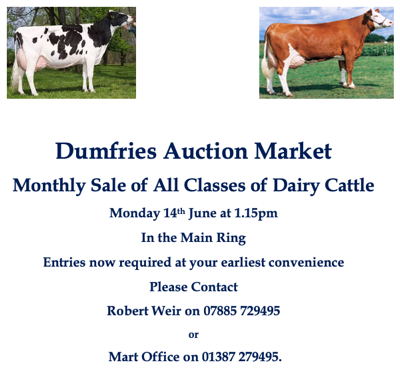 Dairy
