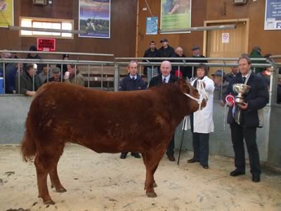 Champion Left to Right S Ferguson (Carrs fertiliser), N Cumming (Judge) Scotch Premier Meats. Mrs M Paul, M Everett (Carrs Fertiliser)