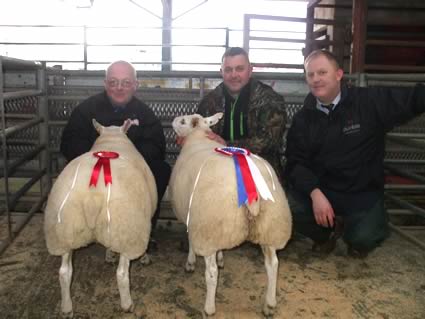 Champion Lambs with L to R D Bryson (Sponsor), Brian Ryder, Haig Murray (Judge)