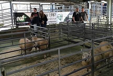 Lower Nithsdale Young Farmers