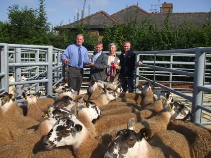 Champion pen of Gimmers that realised £205 from J Fry, Porterstown R to L David Stewart, Halldykes (Judge), Philip Fry, James Fry, Robert Fry