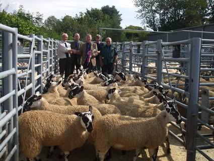 Champion pen of Ewe Lambs realised £192 from Mrs K Park, Dalpeddar R to L A McFadzean (Judge), Stewart Park, John Park, Callum Park, David Bryson (Sponsor)