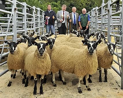 Champion Ewe Lambs