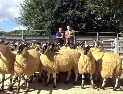 Ewe Lamb Champion - L to R (Judge) David Bryson, Alec Kirkpatrick