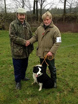 Sale Topper realising 3000gns (£3150) fell to Meg a June 2011 born Black & White Bitch shown by Robin Bell, Hawick purchased by Ian Little, Dalry