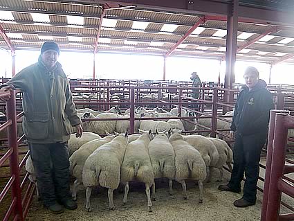 champion lambs from Messers hope, Albie Rigg, Canonbie
