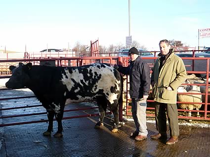 Champion with owner Mr James Retson, Gardrum and judge Mr Peter Kemp