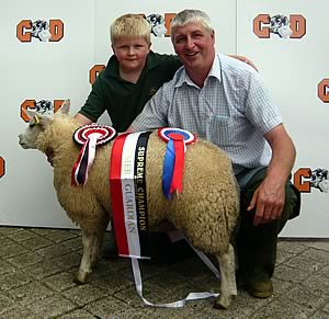 champion young handler's prime lamb