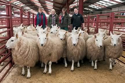 Champion NCC Hoggs – Messrs Eastham, Naddle
