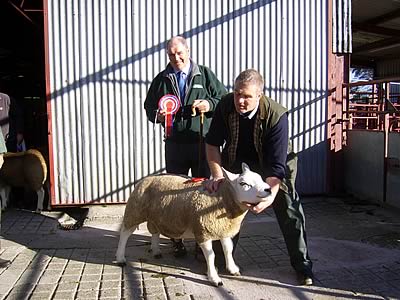 Champion Texel with owner Jim Robertson and judge George McGimpsey