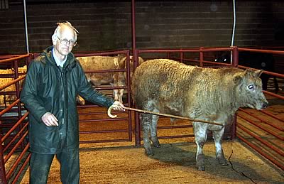 David Lawton From Greystoke Castle Farms with Champion Hillbred Suckler Calf