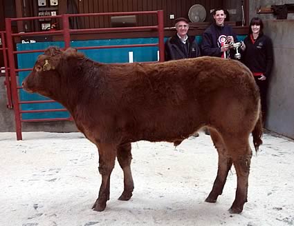 Champion Hillbred Suckler Calf from Messrs DH & JM Murray, The Throp which later realised £835 to the Judge