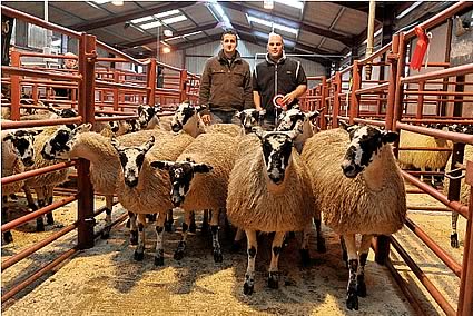 (1) Champion Pen of Greyface Mules (1st prize ex Swaledale) from Ken James, Midtodhills pictured with the Judge, John Ackerley.