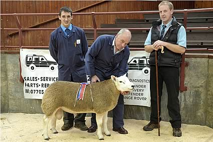 Champion Texel lamb