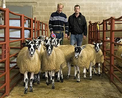 Champions from Messrs Roddam, Fordlands with judge Andrew Spedding