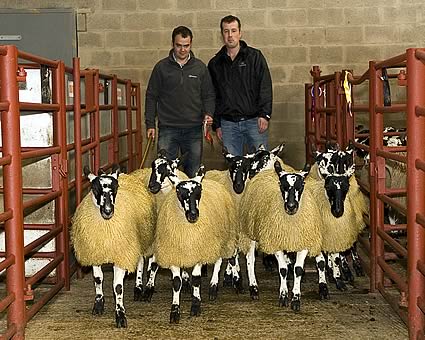 Reserve Champions from Wanwood Partners with the judge Andrew Spedding