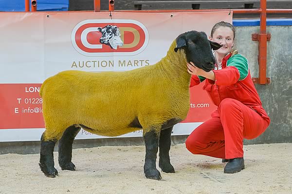  Gimmer sold for 2,100gns