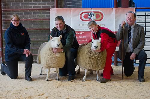 Champion South Country Cheviot lot 18 from I H G Warden Skelfhill - Reserve lot 33 from J Common & Son Crossdykes