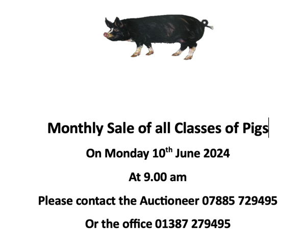 Pig sale
