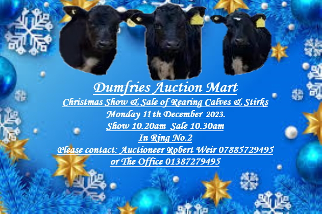 CHRISTMAS SHOW & SALE OF CALVES
