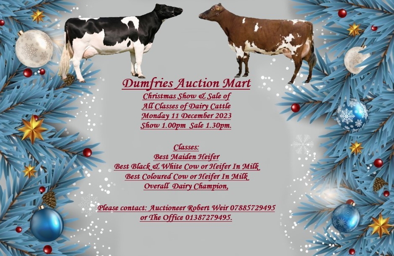 DAIRY CATTLE CHRISTMAS SHOW & SALE