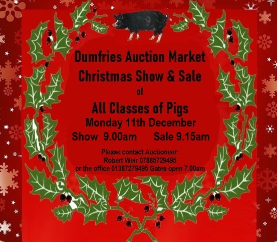 CHRISTMAS SHOW & SALE OF PIGS