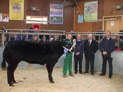 Reserve Champion Left to Right E Paul, S Ferguson (Carrs Fertiliser), N Cumming (Judge) Scotch premier Meats, M Everett (Carrs Fertiliser)