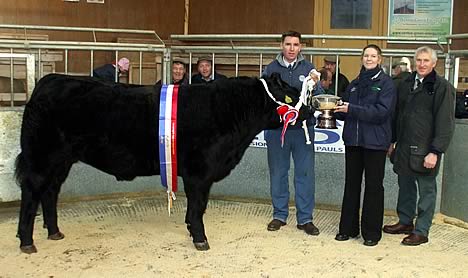 Champion Beast at Dumfries Markets Christmas Show James Forsyth, Mid Bishopton, Moira Brogan (Sponsor BOCMS Pauls, Kingan Farm Feed), Judge Evan Hall Scotbeef Ltd