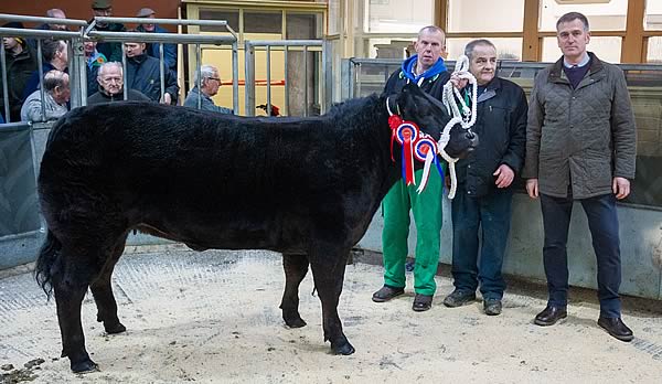 Champion Beast