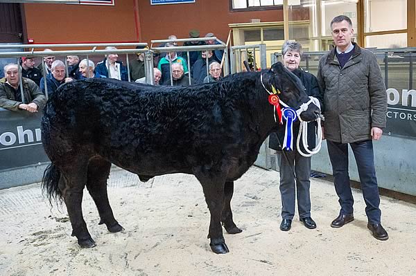 Reserve Champion