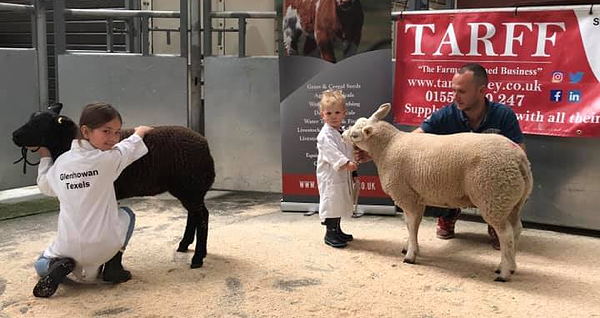 Young Handlers
