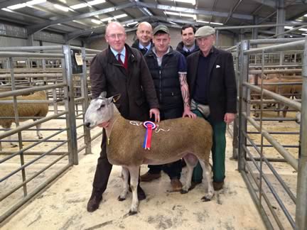 Best Blue Leicester - Mr Kirkpatrick, Barr, Sanquhar