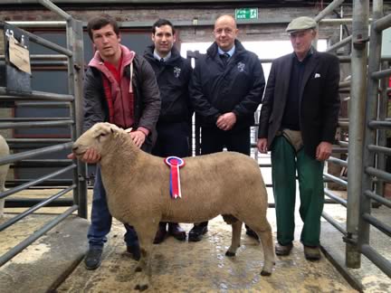 Best Other Breed (Charollais) to Ben Radley, Loaningfoot, Dumfries 