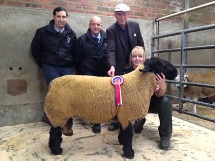 Best Suffolk - Mr A Ryder, Blackhamilton, Carlisle