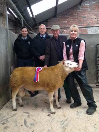 Best Texel - Mr A Ryder, Blackhamilton, Carlisle