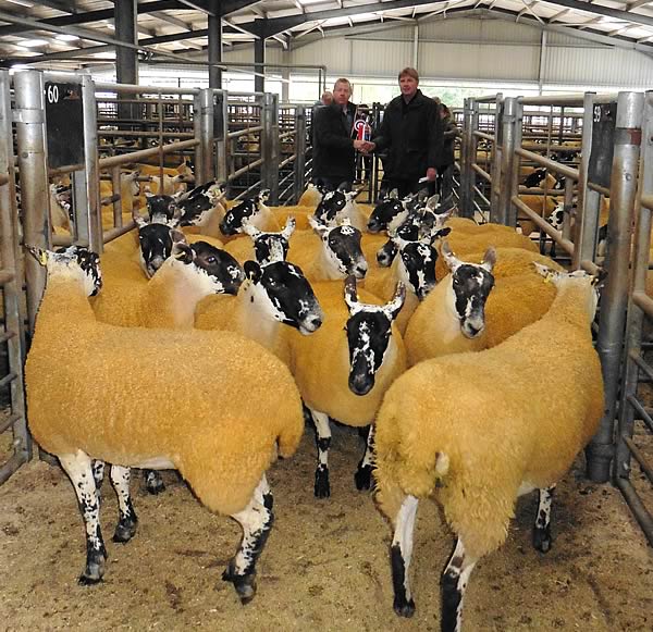 Champion Gimmers, l to r, Phillip Fry, David Morgan (Judge)