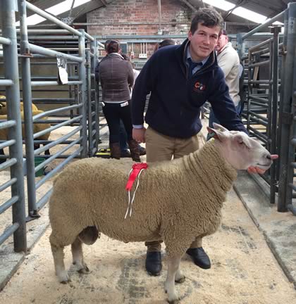 Other Breed Champion