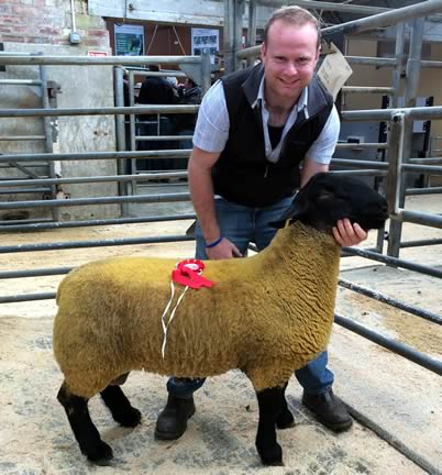 Suffolk Champion