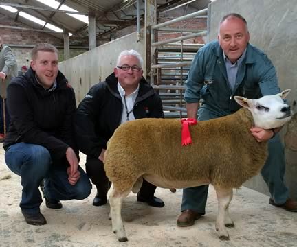 Texel Champion