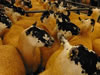 Ewe_Lamb_&_Gimmer_Sale_2015_045