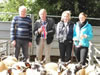 Ewe_Lamb_&_Gimmer_Sale_2015_145