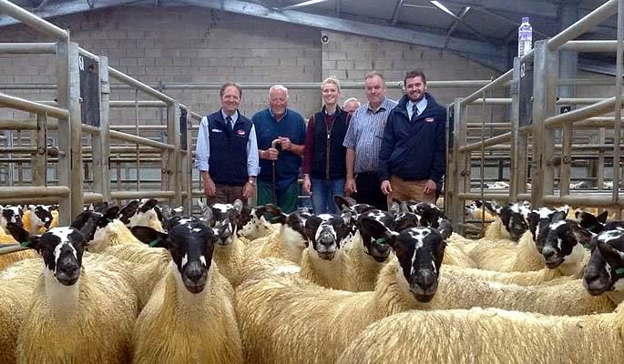 Best Pen Scotch Mule Ewe Lambs L to R Ian Powley (Carrs Billington), Hugh Rorison, Hannah Sloan, David Sloan, Stuart Graham (Carrs Billington)