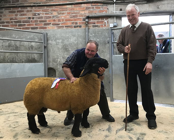 Suffolk champion from M/s Buchannan, Pretts Mill