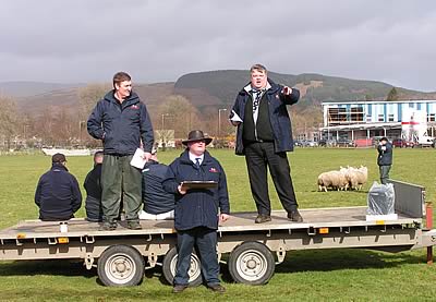 Sheepdog Sale
