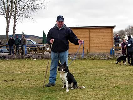 Sheepdog Sale