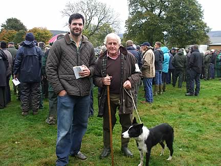 Hammerlands Collie Dog sale