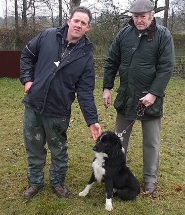 Moffat Sheepdog Sale