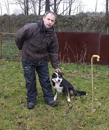 Moffat Sheepdog Sale