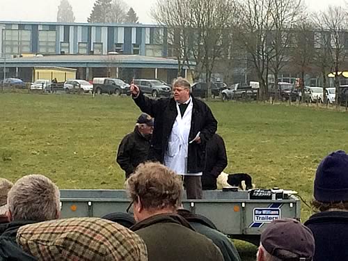 Harry in full flow